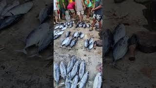 Grabe Kagulo Ung Mga Mamili Sa Lugar Na To Daming Tulingan Sarap Ginataan youtube ytshorts short