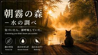 朝霧の森 – 水の調べ｜Forest Morning &amp; Stream Sounds【2時間】ヒーリング・作業・睡眠・瞑想・サロンBGM
