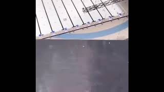 Molly Carlson Viral TikTok’s of 2020 (20 Meter High Diving)