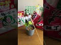 【植物屋の見習い】コバエ対策#植物 #shorts #howto #コバエ