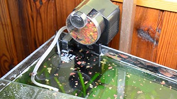 Remote controlled fish feeder with ESP8266 WiFi module #2 | Done