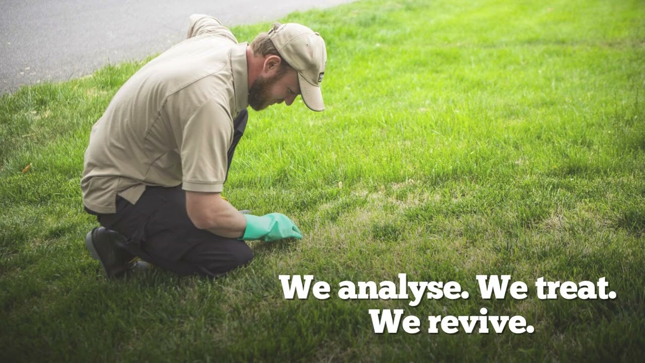 Greenfeet is one of Ireland’s leading lawn care specialists