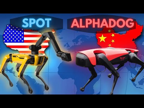 AlphaDog Assist the Disabled, Cheaper alternative to Boston Dynamics? Robotdog