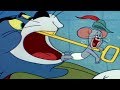 Tom And Jerry 113 Episodes Robin Hoodwinked Top Games Movies 