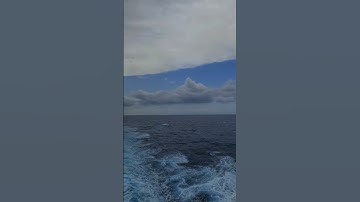 سورة الفرقان {الآية 58} (القارئ عمر بن ضياء )