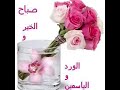 صباححححححححححح الورد للورد كيفكم اصحو يا نايمين بحبكم يا ترا ازا فايقين شو عم تساوي صباححححححححححح الورد للورد كيفكم اصحو يا نايمين بحبكم يا ترا ازا فايقين شو عم تساوي