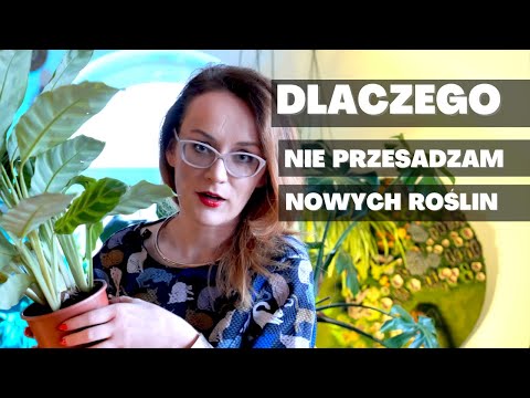 Wideo: Dlaczego przesadzam?