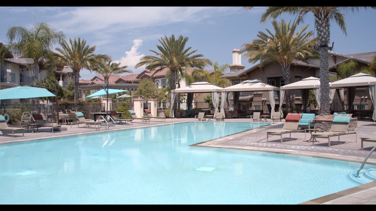 Avino San Diego Reviewsnull