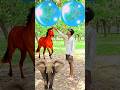 Rounding coconuts to Duck, Peacock, Pigeon &amp; Parrot - Birds names magic video#foryou#plzsupport