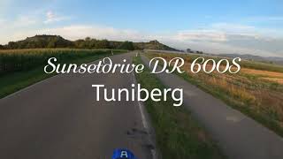 Suzuki Dr600S Sunsetdrive - Tuniberg bei Freiburg