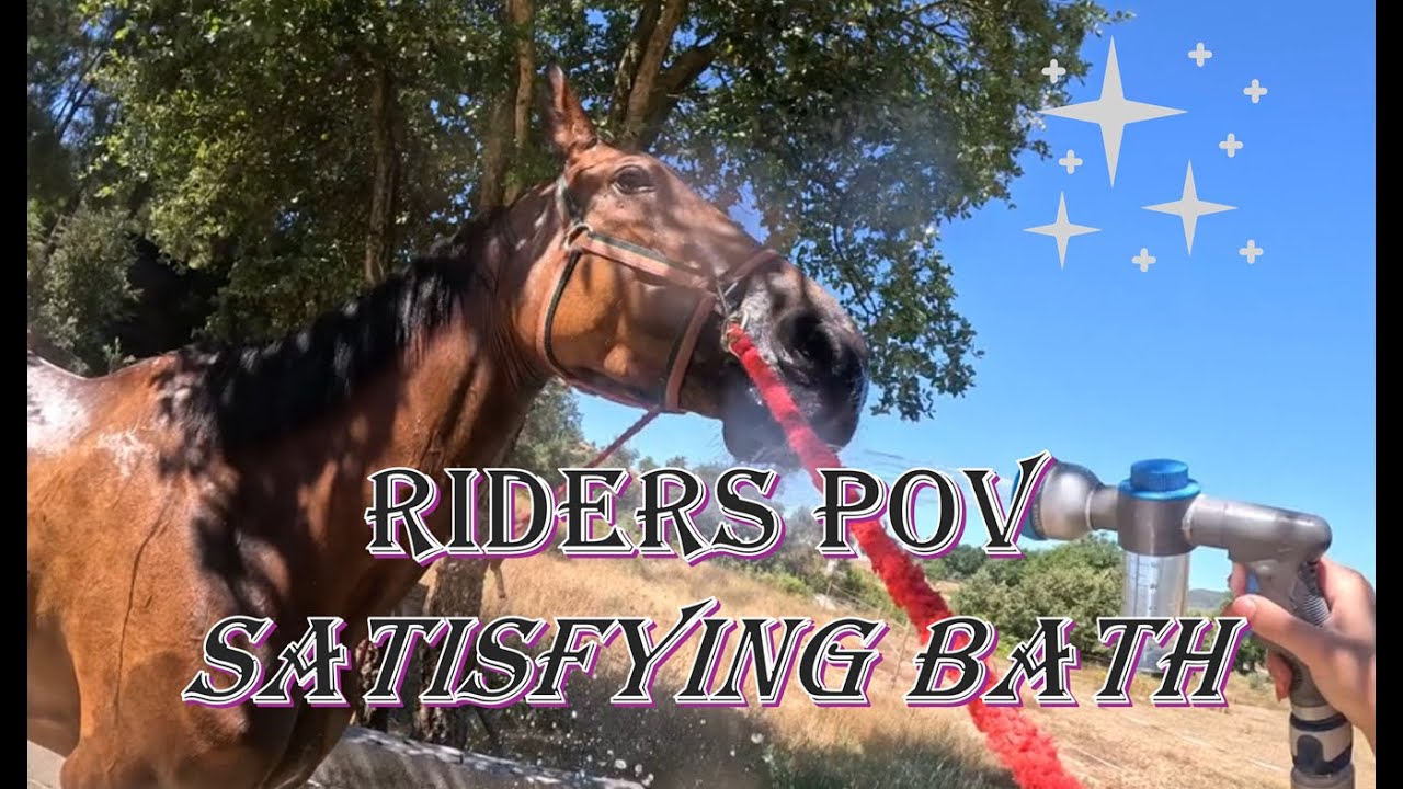 GoPro POV ASMR Grooming Session | Satisfying And Relaxing Horse Bath With My Mare