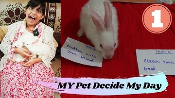 My Pet Decide My Day | My Rabbit decide My day Part 1 | # Learnwithpriyanshi
