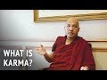 His Holiness the Karmapa – What is Karma?