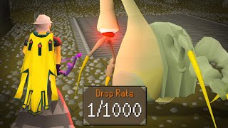 The Rarest Pet in Runescape | Pet Roulette screenshot 4