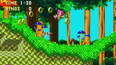 A Nice Bug from Sonic 3 & Amy Rose (v1.4)