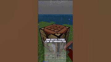 Mushroom Stew Gathering Guide in Minecraft