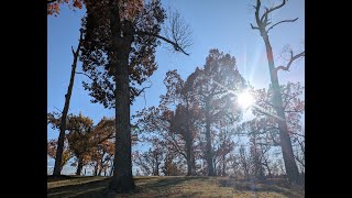Disc Golf Shaver 11.11.25 Cedar Rapids Iowa