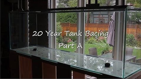 20 Year Framing on the 175 gal. tank build Part A