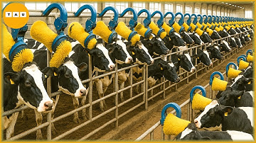 Ingenious Tools And Most Satisfying Factory Machines That Are At Another Level ▶ 17 #ingenioustools