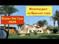 Отдых и жизнь в Египте 🌞 Эль Гуна 2020 🌴Вейкбординг в Wakeboard park el gouna 🌊
