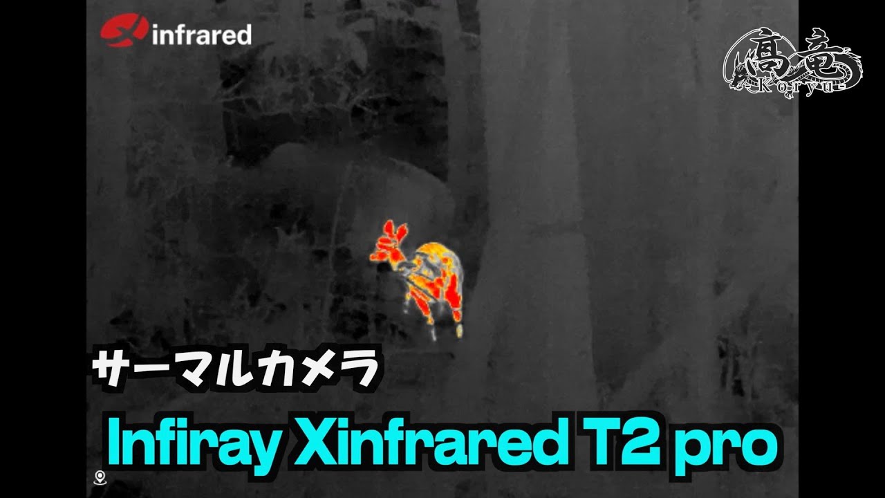 サーマルカメラ「InfiRay Xinfrared T2 pro」レビュー