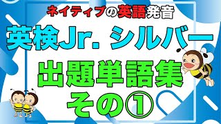 英検ジュニア シルバー_ネイティブ英語発音！その1