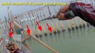FULL STRIKE FISHING AT THE HAMBALI FAD, THIS BAIT IS REALLY GACOR