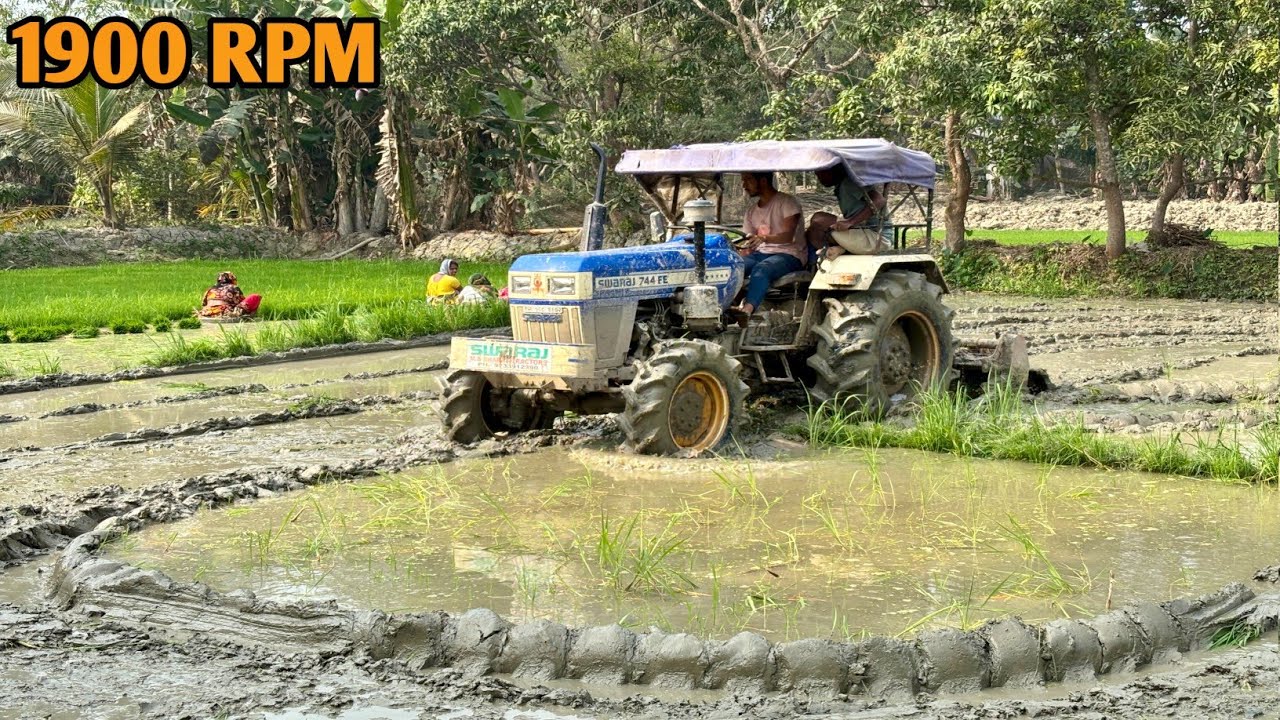 বন্ধুরা SWARAJ 744 FE 4WD tracter কেমন বীজতলা জমিতে ডবল চাষ দিচ্ছে দেখুন বন্ধুরা ও কেমন মাটি করছে 