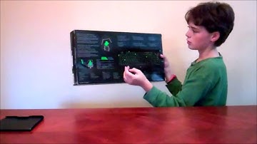 Razer Blackwidow Ultimate 2014 Review