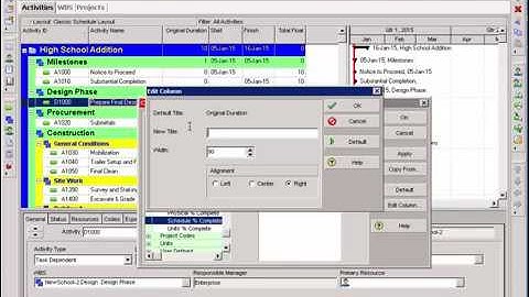8 P6 Primavera Intro to Layouts by Encore Group