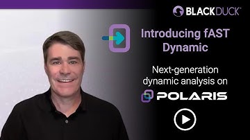 Introducing fAST Dynamic to the Polaris Platform | Black Duck