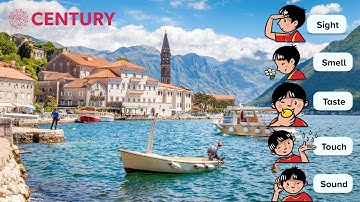 Sensory Language | KS3 English Language