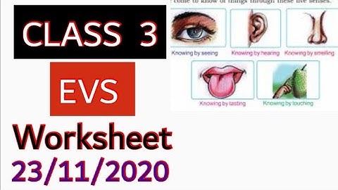 CLASS 3 EVS WORKSHEET NOVEMBER 23  English and Malayalam medium /KERALA SYLLABUS