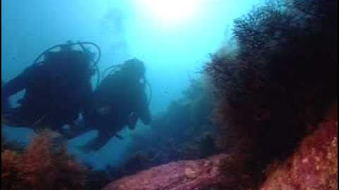 PADI Scuba Diving Lessons: PADI Enriched Air Diver - Scuba Diving with Enriched Air Nitrox