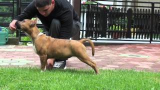 MVI 0328 MOV YouTube