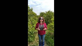 Zeynep Dalkılıç Anadolunun Gözleri Doğada Sergisi