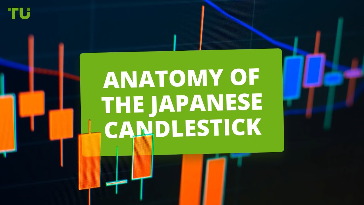 Anatomy of the Japanese candlestick Forex Trading Course for