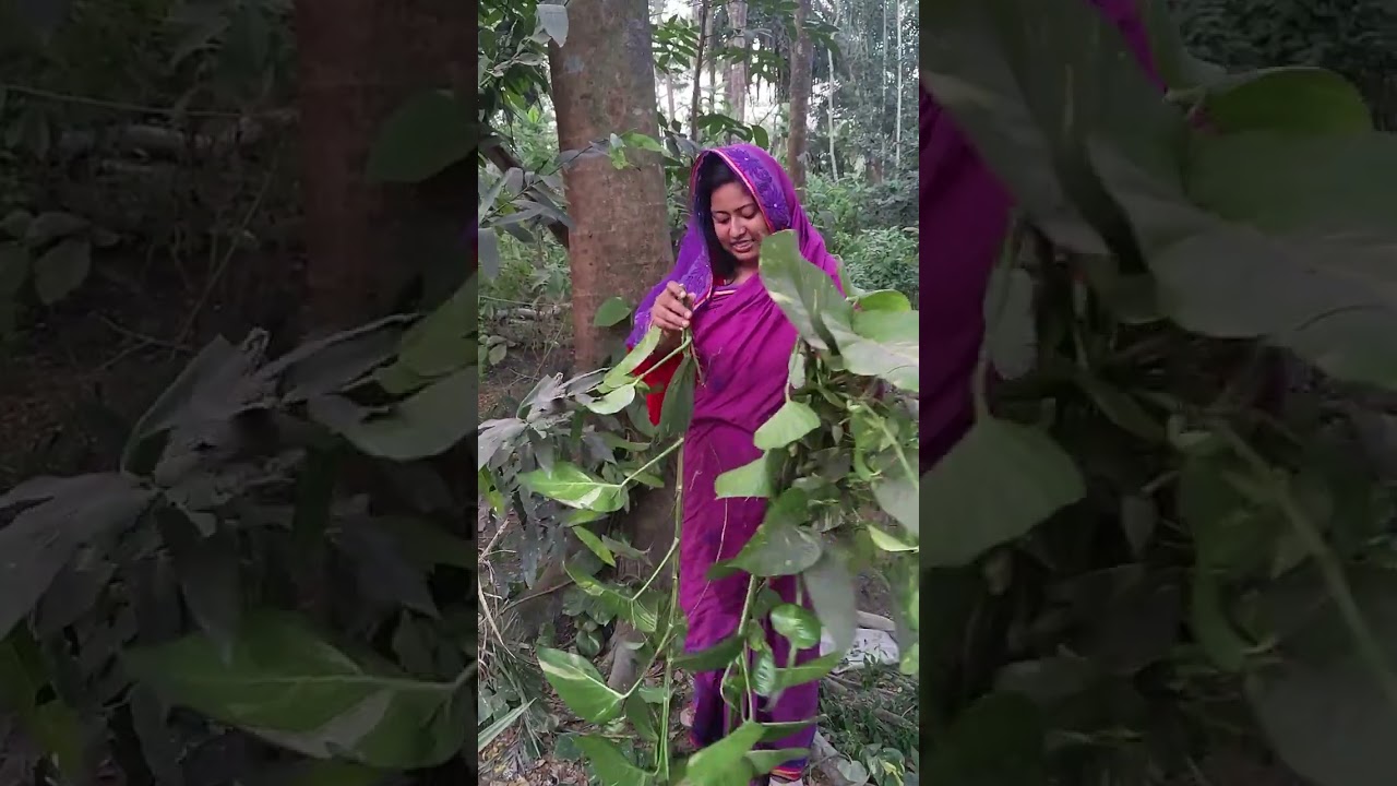 Ты как Нонон-Нонон, кто ты такой, чтобы ссориться с женой брата своего?