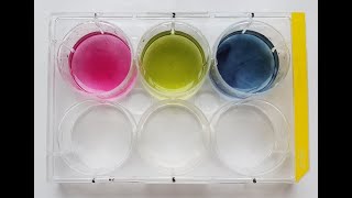 Neutralisation Microscale