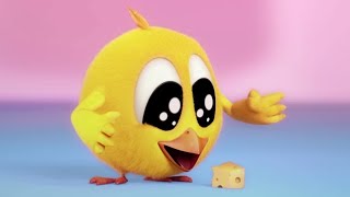 Where's Chicky ? 🤤 THE CHEESE - NEW episodes in HD