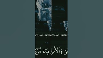 اجمل تلاوة هادئة #تلاوة_خاشعة #قرآن #راحة_نفسية #اكسبلور #funny #متابعه #لايك