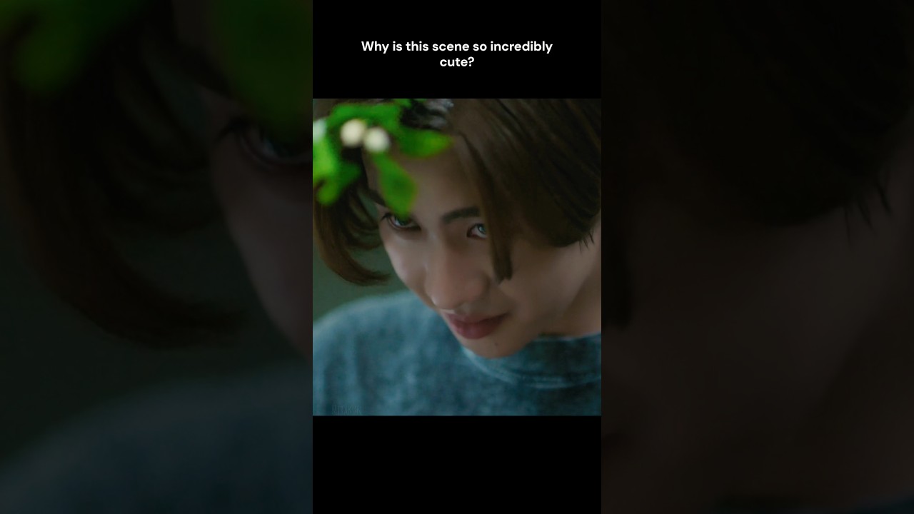 Why are they so cute 😍 