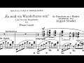 August Stradal/Franz Liszt - Es muss ein Wunderbares sein for Piano (S.314)