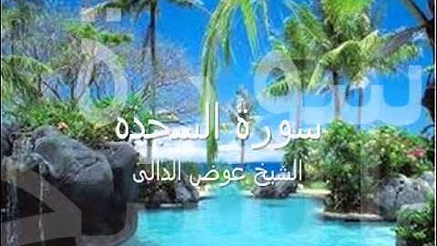 سورة السجده.بصوت الشيخ عوض الدالى .كفر الدوار
