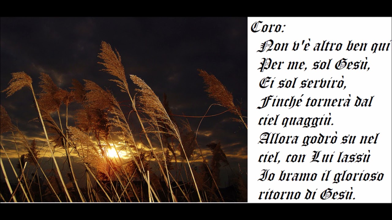 Non v'è altro ben quì per me!  n.332