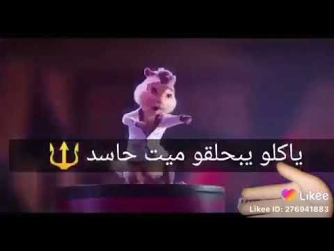 ناس بالحب مجتش معاها بصوت السناجب