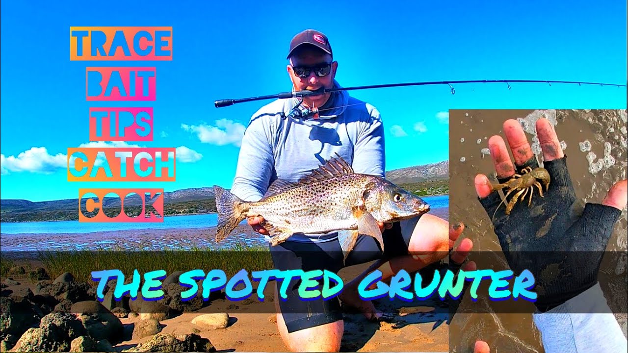 How to fish for the Spotted Grunter PART 1/3 