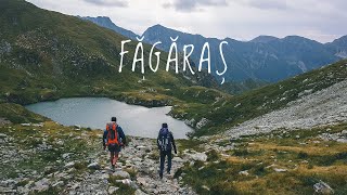 S05E10 ► Muntii Fagaras | Facem toata creasta de la vest la est (Valea Oltului - Plaiul Foii)