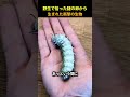 彼は謎の生き物を見つけた 😳