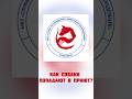 Как собаки попадают в приют? Это лишь частичка историй #собаки #топ #люди